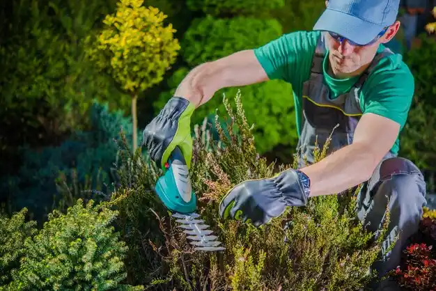 landscaping services Harwich Center
